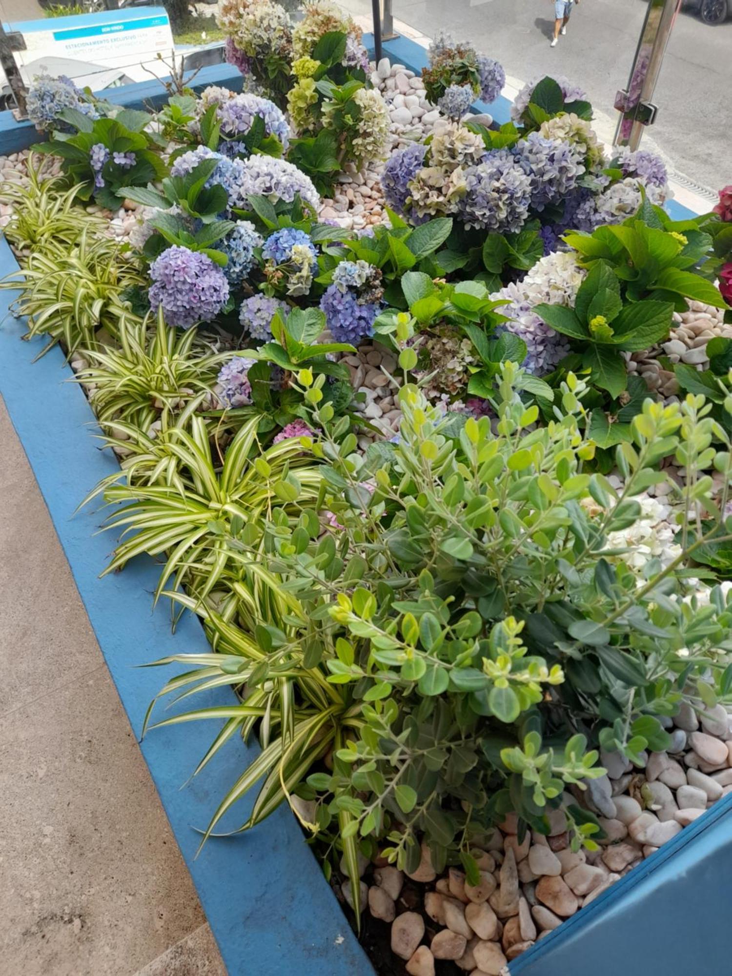 Mediterraneo Madeira São Vicente 외부 사진